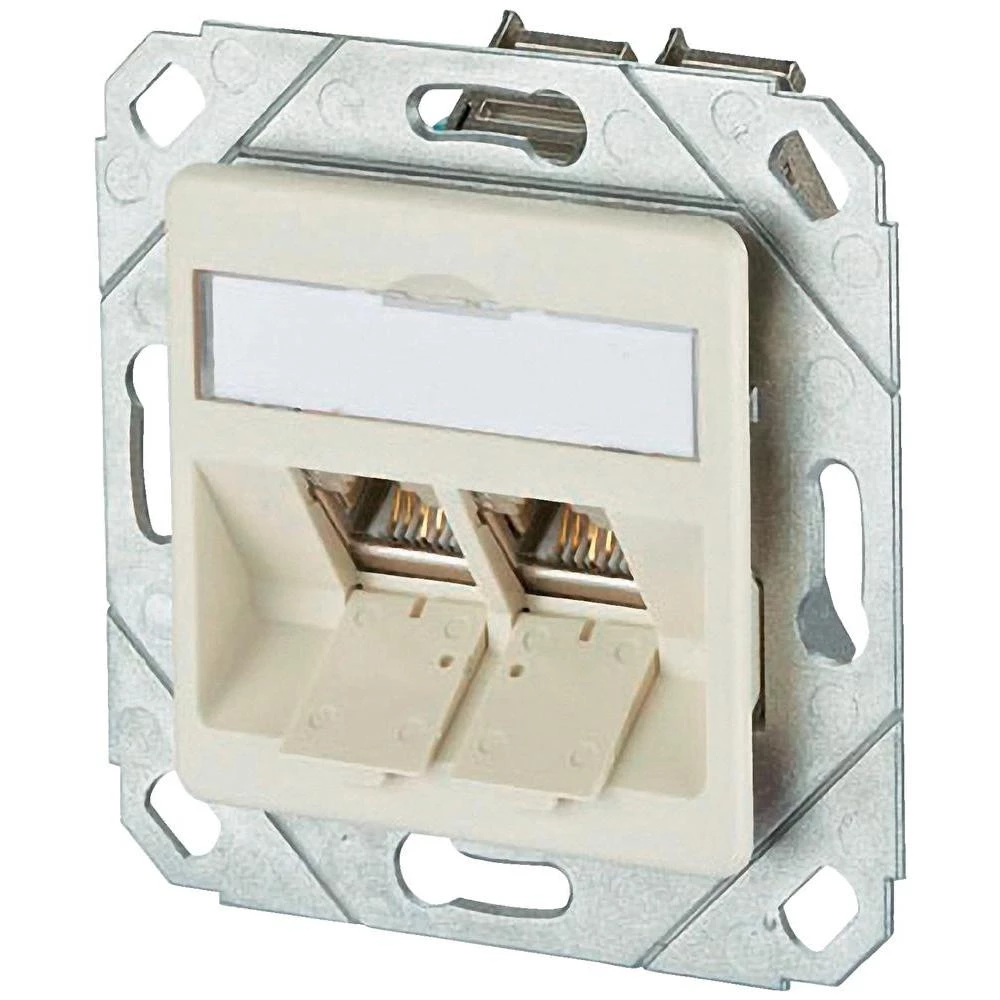 Ugradbena mrežna utičnica CAT 6 BTR Netcom, s centralnom pločom 2-portna biserno slika