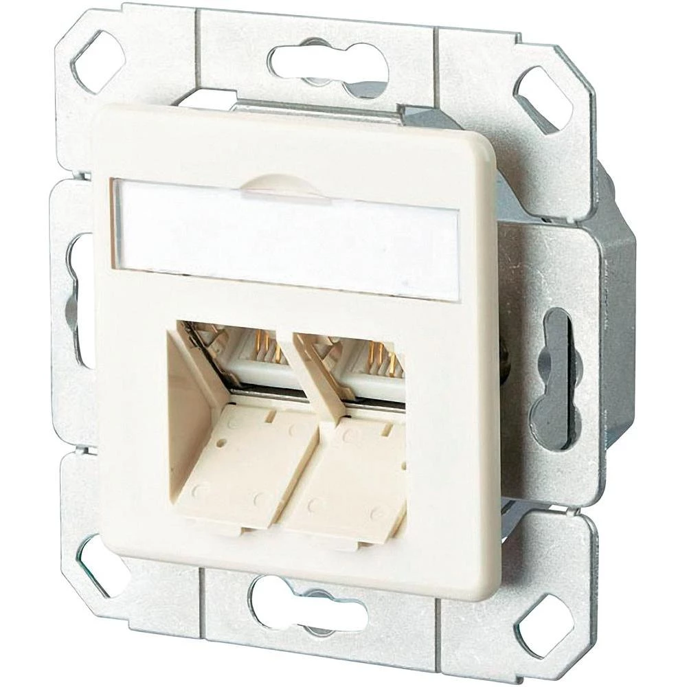 Ugradbena mrežna utičnica CAT 6 BTR Netcom, s centralnom pločom 2-portna biserno slika