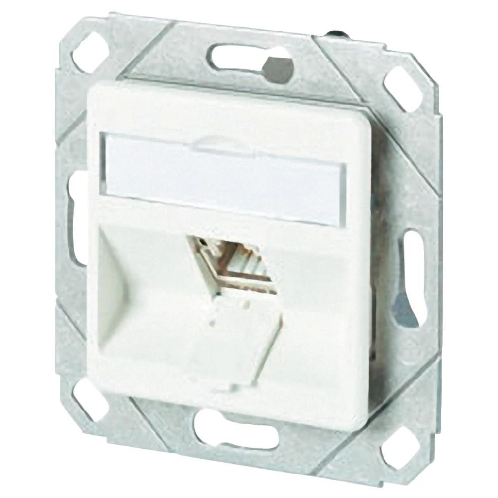 Ugradbena mrežna utičnica CAT 6A BTR Netcom, s centralnom pločom 1-portna snježn slika