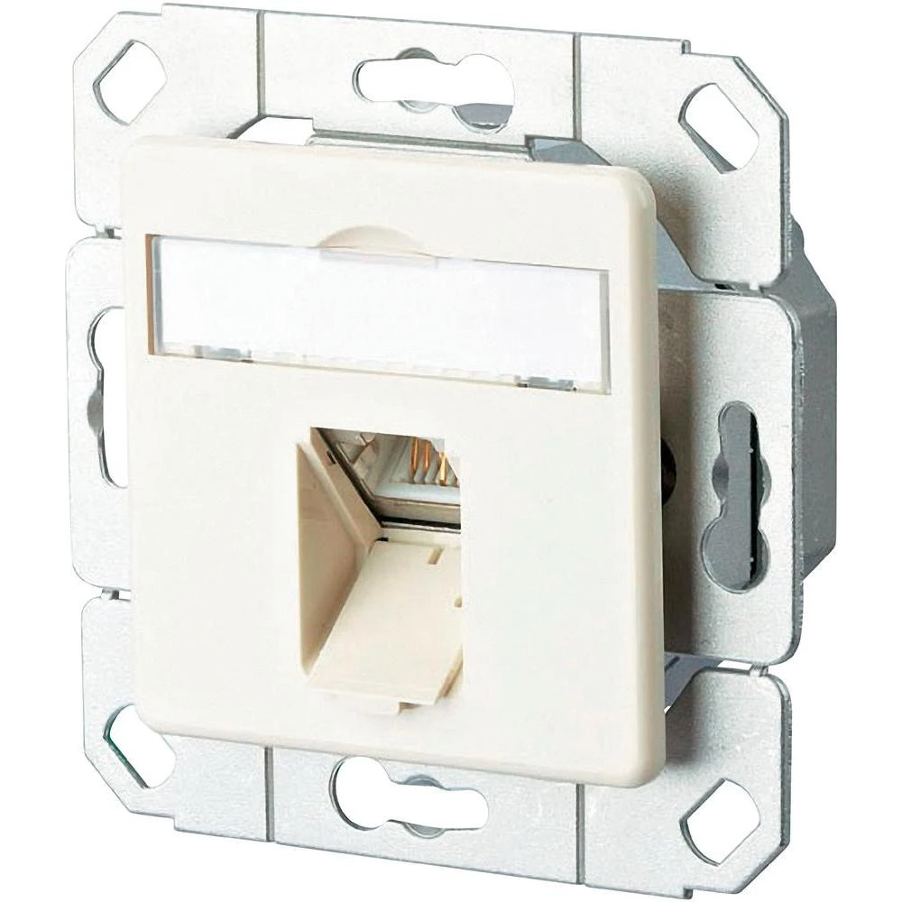 Ugradbena mrežna utičnica CAT 6A BTR Netcom, s centralnom pločom 1-portna snježn slika