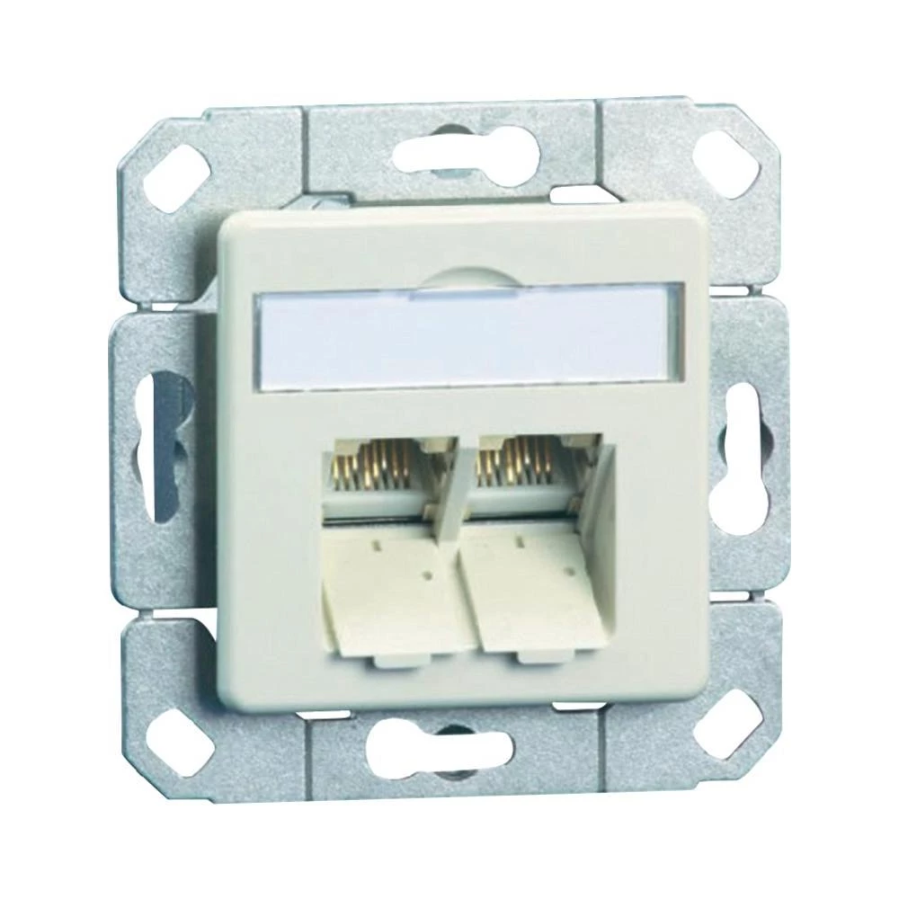 Ugradbena mrežna utičnica CAT 6A BTR Netcom, s centralnom pločom 2-portna snježn slika