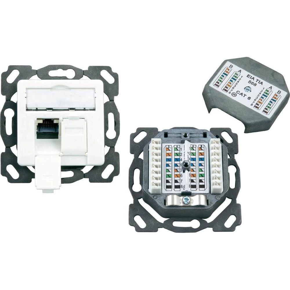 Ugradbena mrežna utičnica CAT 6A EFB Elektronik, s centralnom pločom 2-portna, s slika