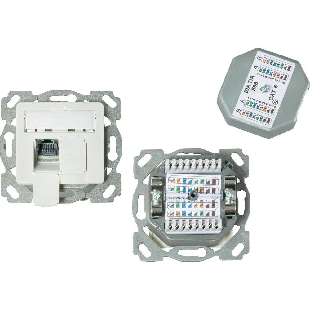 Ugradbena mrežna utičnica CAT 6A EFB Elektronik, s centralnom pločom 2-portna, s slika