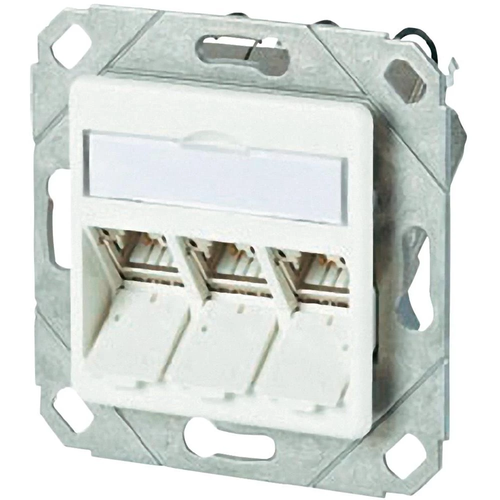 Ugradbena mrežna utičnica CAT 6A BTR Netcom, s centralnom pločom 3-portna, snjež slika