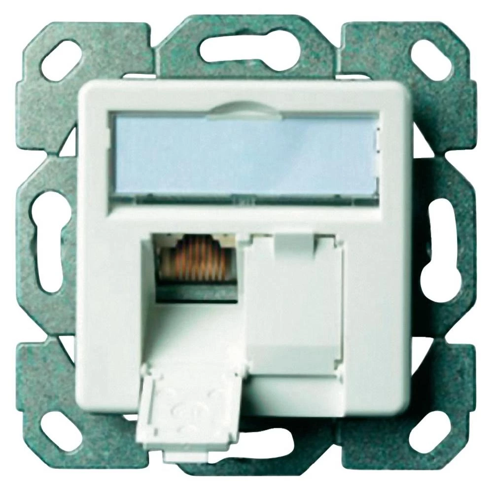Ugradbena mrežna utičnica CAT 5e Telegärtner, s centralnom pločom 2-portna alpin slika