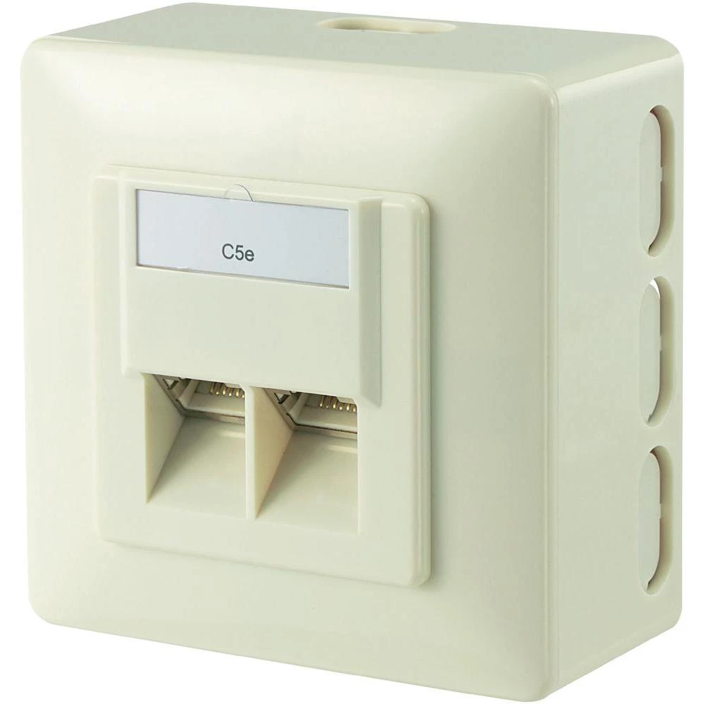 Nadzidna mrežna utičnica CAT 5e Digitus 2-portna biserno bijela slika