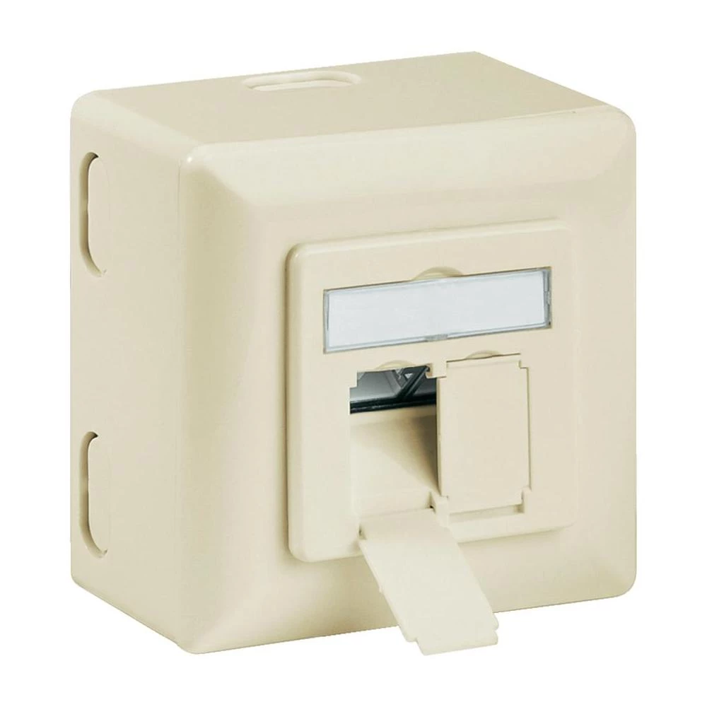 Nadzidna mrežna utičnica CAT 6A Goobay 2-portna bež slika