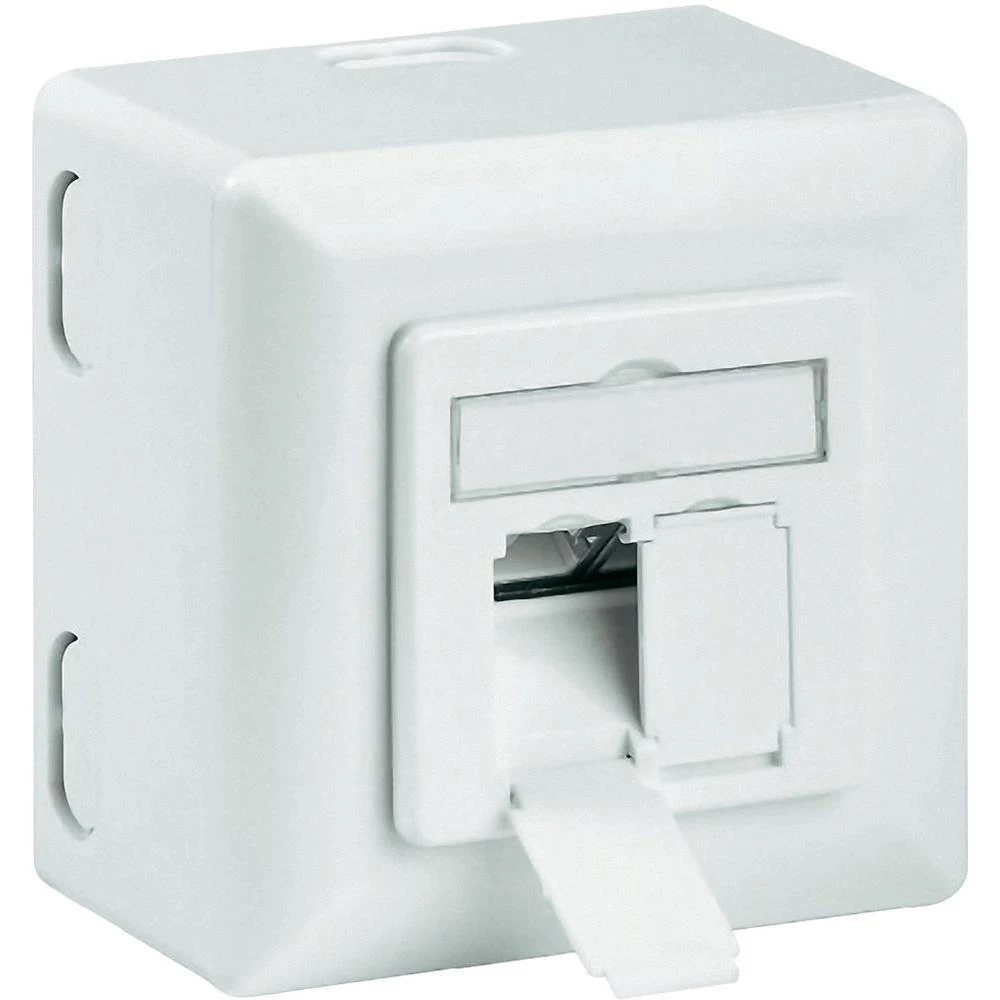 Nadzidna mrežna utičnica CAT 6A Goobay 2-portna bijela slika