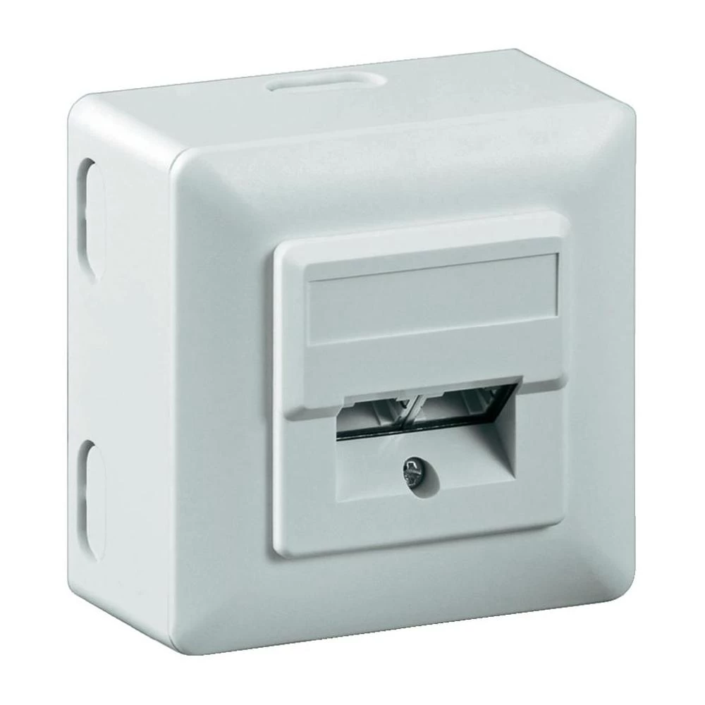 Nadzidna mrežna utičnica CAT 5e Goobay 2-portna bijela slika