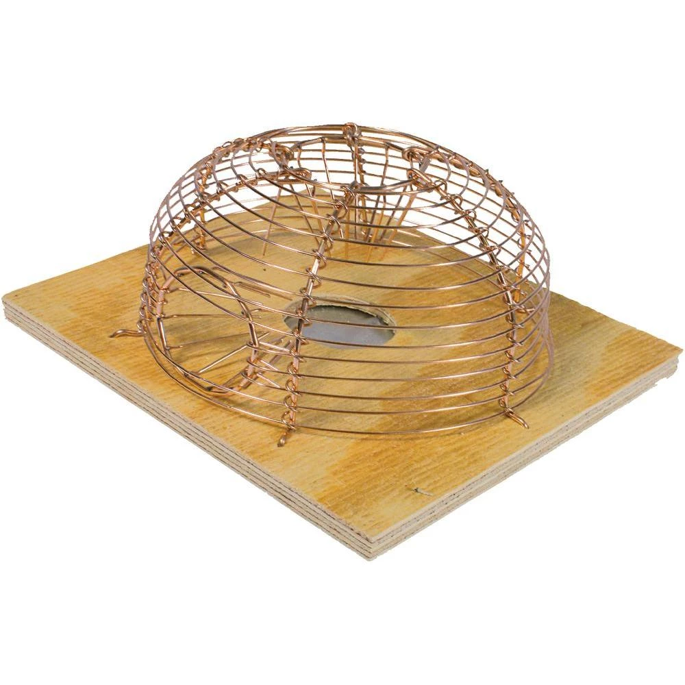 Kavez za miševe humana zamka klasična slika