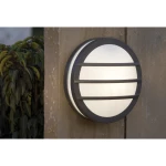 Vanjska zidna svjetiljka Seine 3361 gr ECO-Light E27 antracit