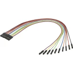 Spojni kabel za Raspberry Pi® Renkforce šarena 1346418