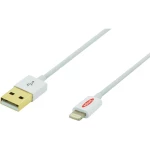 iPad/iPhone/iPod punjački kabel/podatkovni kabel [1x USB 2.0 utikač A - 1x Apple Dock utikač Lightning] ednet 0.50 m bijela