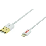 iPad/iPhone/iPod punjački kabel/podatkovni kabel [1x USB 2.0 utikač A - 1x Apple Dock utikač Lightning] ednet 1 m bijela