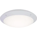 LED vanjska stropna svjetiljka Brilliant G96053/05 Medway 12 W neutralno-bijela bijela