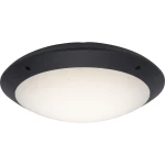 LED vanjska stropna svjetiljka Brilliant G96053/63 Medway 12 W neutralno-bijela antracit