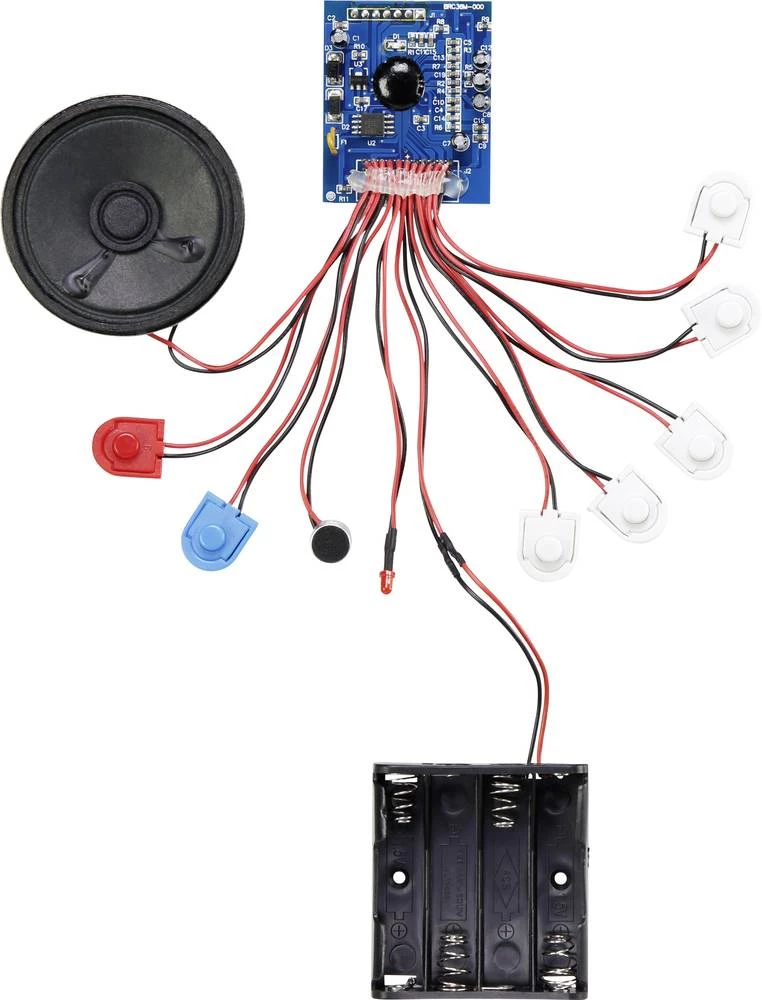 Modul za snimanje zvuka Conrad Components BRC36 vrijeme snimanja 60 s slika