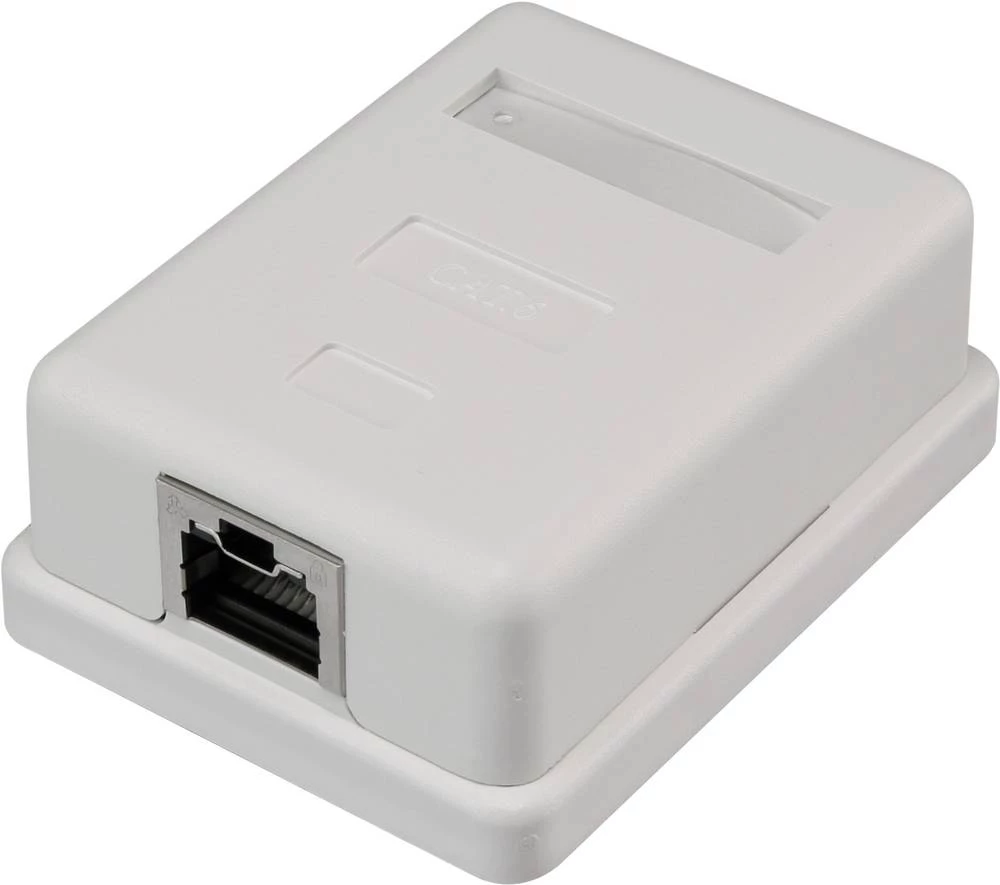 1-portna mrežna utičnica, nadžbukna CAT 6 renkforce KSV-NDW10 bijele boje 001497229 slika