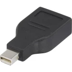 DisplayPort adapter [1x Mini-DisplayPort utikač - 1x DisplayPort utičnica] crni, pozlaćeni kontakti Renkforce