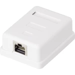 1-portna mrežna utičnica, nadžbukna CAT 6 Renkforce KSV-ND10 bijele boje 001491283