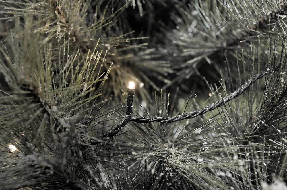 Mikro-Svjetleći LED lanci za vanjsku primjenu 800 LED, toplo bijelo svjetlo, dužina osvjetljenja: 55.93 m Konstsmide 3647-110 slika