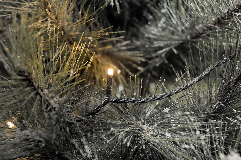 Mikro-Svjetleći LED lanci 80 LED, Bernstein dužina osvjetljenja: 12.64 m Konstsmide 3611-800 slika