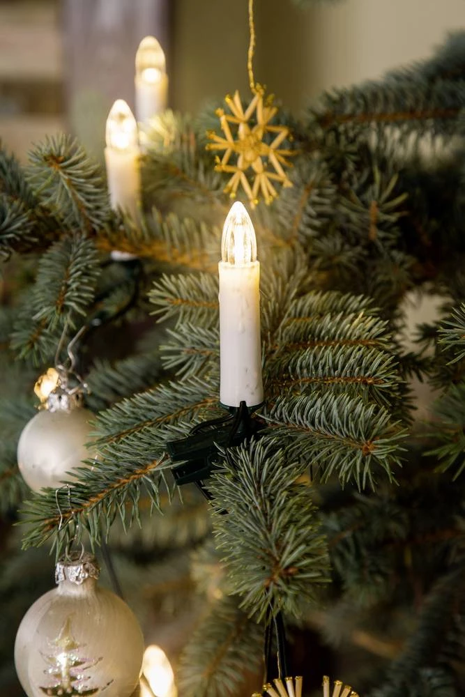 Rasvjeta za božićni bor na baterije za unutarnju primjenu 20 LED, toplo bijelo svjetlo, dužina osvjetljenja: 9.5 m Konstsmide 1177-000 slika