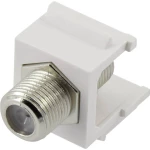 Koaksialni ugradbeni modul Keystone Renkforce RF-KS-KOAX