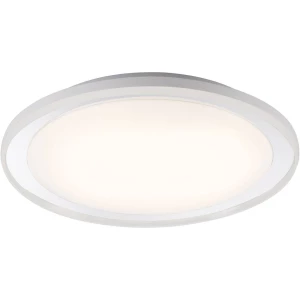 LED stropno svjetlo za kupaonicu 45 W Toplo-bijela, Neutralno-bijela, Dnevno svjetlo-bijela Paul Neuhaus 6481-17 LARS Krom boja slika