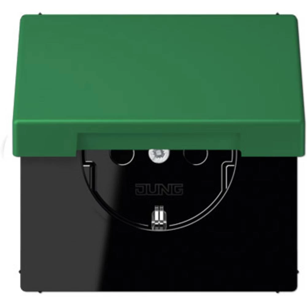 Jung 1-struki Umetak Utičnica s poklopcem sa šarkama Zelena LC1520KIKL32050 slika