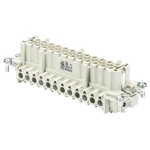Wieland Electric 70.400.1040.0 ženski umetak Ukupan broj polova 10 10 St.