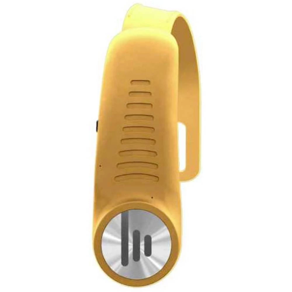 BassMe BassMe+ Gold Edition mini zvučnik zlatna slika