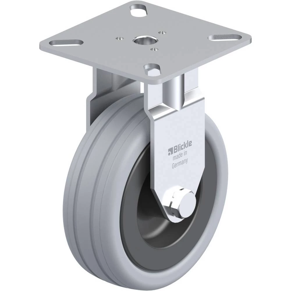 Blickle 273698 slika