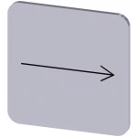 Siemens 3SU1900-0AF81-0QR0 ploča za natpise kvadratan (Š x V) 22 mm x 22 mm oznaka strelica srebrna, crna 10 St.