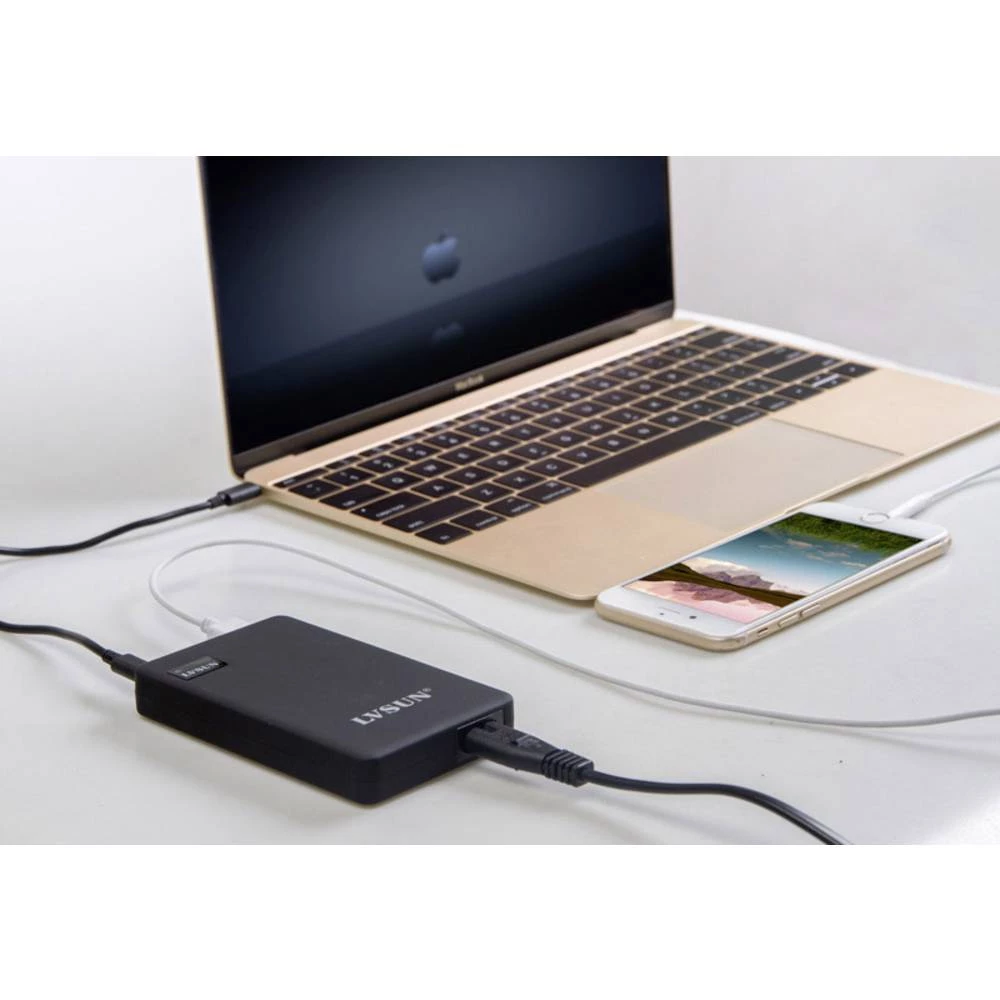 LVSUN 60W USB-C LS-PD60 USB stanica za punjenje Utičnica Izlazna struja maks. 5000 mA 2 x Ženski konektor USB 2.0 tipa A, Ženski slika