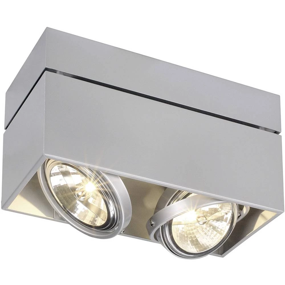 Stropna svjetiljka SLV 117134 Srebrno-siva slika