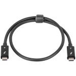 Akyga USB kabel  Thunderbolt utikač, Thunderbolt utikač 50 cm crna  AK-USB-33