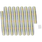 MaxLED 500 LED traka Full-Line COB jednostruka traka 2,5 m 13 W 600 lm/m 640 LEDs/m Podesiva bijela Paulmann MaxLED 500 71112 LED traka-produžetak 2500 mm toplo bijela