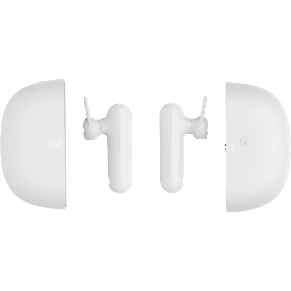 Timekettle Prijenosni prevoditelj WT2 Plus Njemački, Engleski, Holandski, Talijanski, Španjolski, Francuski, Portugalski, Švedsk slika