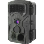 Renkforce RF-HC-550 kamera za snimanje divljih životinja 13 Megapixel nisko svjetiljne LED diode standardno zelena