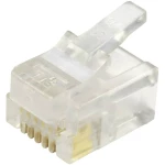 BEL Stewart Connectors 940-SP-3066 940-SP-3066 ravni muški konektor Broj pola: 6P6C stakleno prozirna 1 St.
