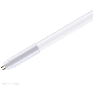 Paulmann LED cijev Energetska učinkovitost 2021: F (A - G) G5 7.5 W toplo bijela (Ø x D) 18 mm x 301 mm 1 St. slika
