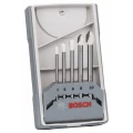 Bosch Accessories Expert for Ceramic 2608587169 svrdlo za staklo i pločice 5-dijelni   cilinder 1 Set slika