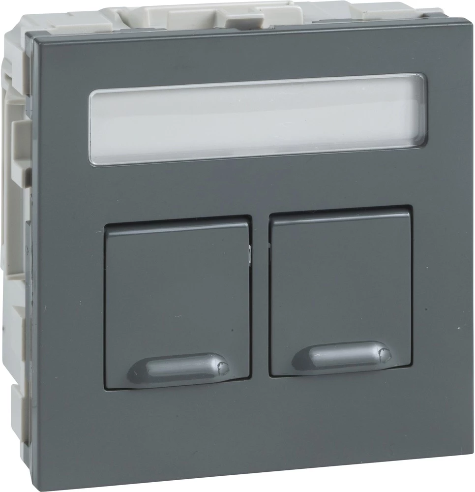 Schneider Electric INS64115 Kabelske kanalice Schneider INS64115 podatkovni modul 2 Keystone Siva slika