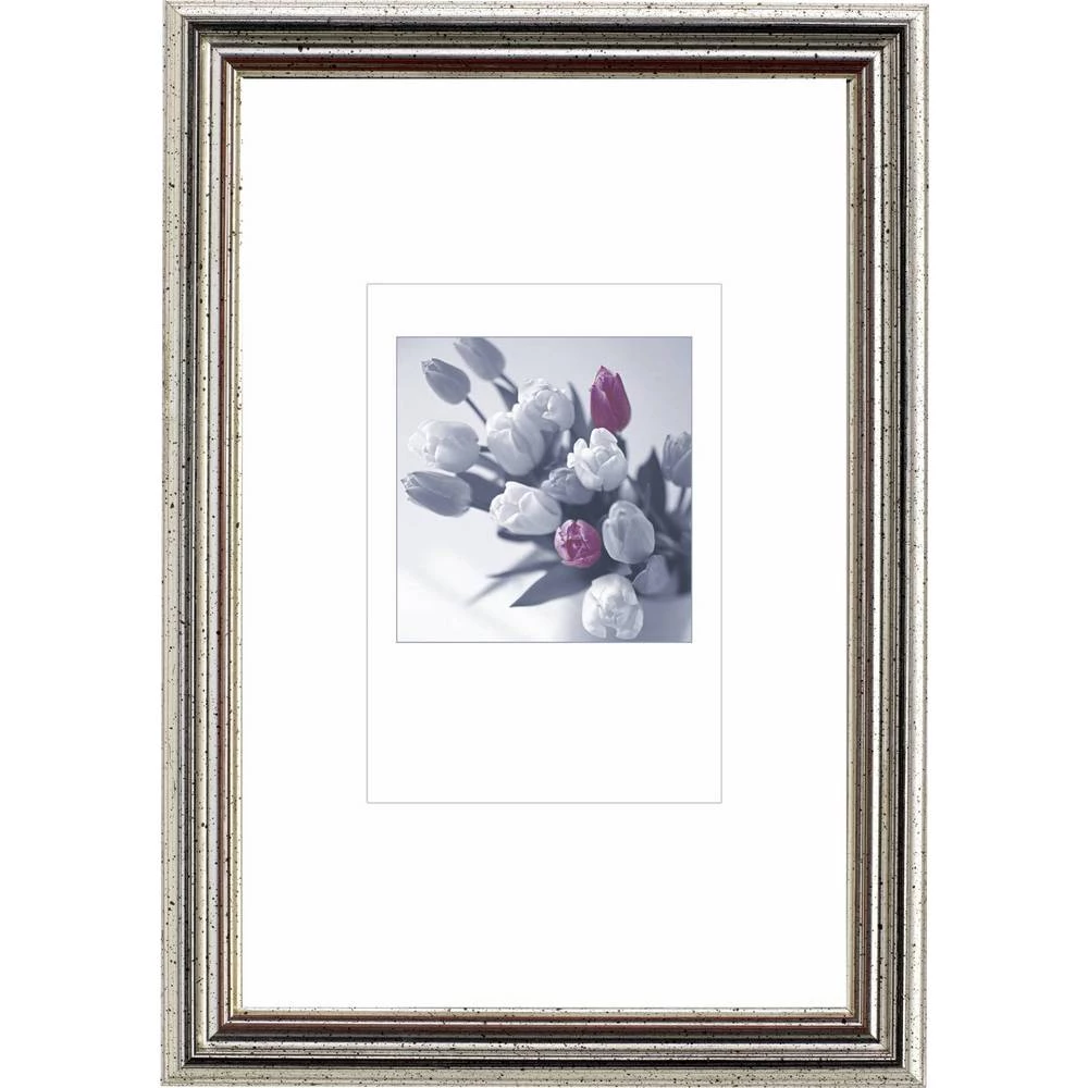 Effect Bilderrahmen 0440.2130.01 izmjenjivi okvir za slike Format papira: 21 x 30 cm srebrna slika
