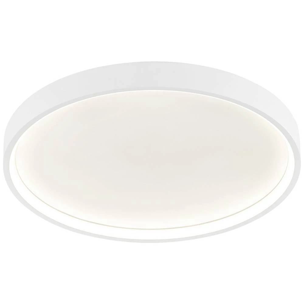 WOFI DUBAI 12055 LED stropni reflektor 27.5 W  toplo bijela bijela slika