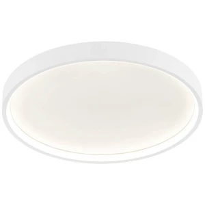 WOFI DUBAI 12055 LED stropni reflektor 27.5 W  toplo bijela bijela slika