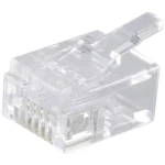 Shiverpeaks  Shiverpeaks BASIC-S mrežni modularni utikač RJ12 6-pinski, 6 dodijeljenih kontakata, DEC verzija, pozlaćeni kontakti, pakiranje od 10 BS72050-DEC-10 ravni muški konektor   Broj p