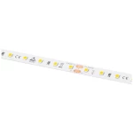 Barthelme LEDlight flex 12 10 LITE 1000, Rolle 500 cm 50414233 led traka   24 V 500 cm toplo bijela