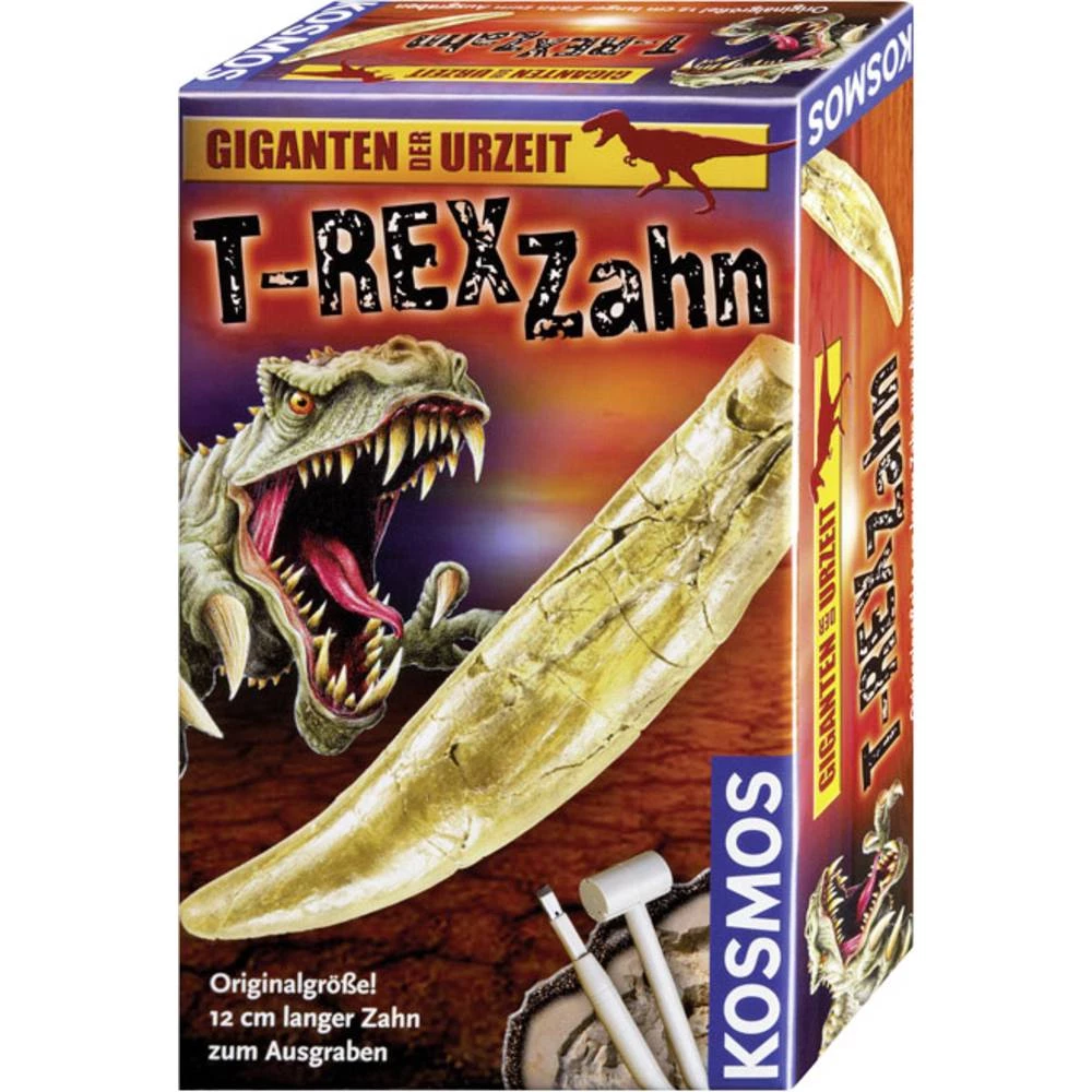 Kosmos 630492 T-REX zub Fosil od 7 godina slika